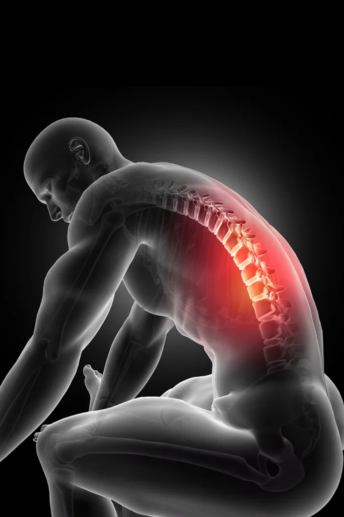 3d Human Body Render With Spine Highlighted Red