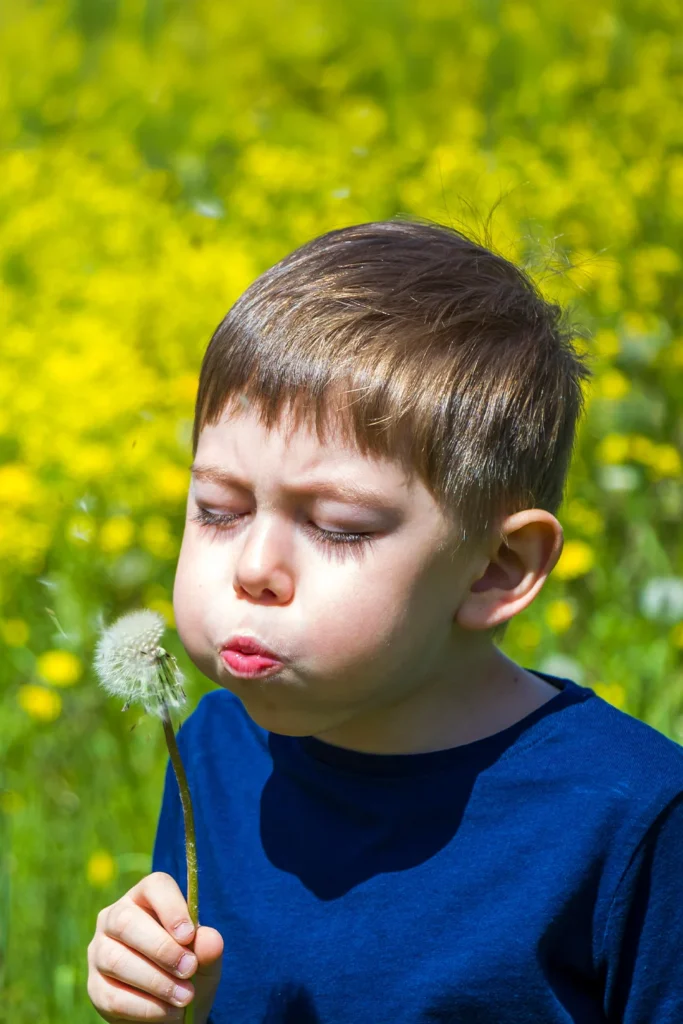 Boy Holding A Dandelion Outside